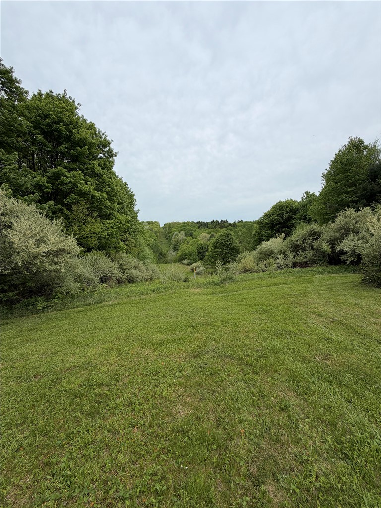 0 Campbell Hill Road Owego, NY 13827 - Photo 8 of 17