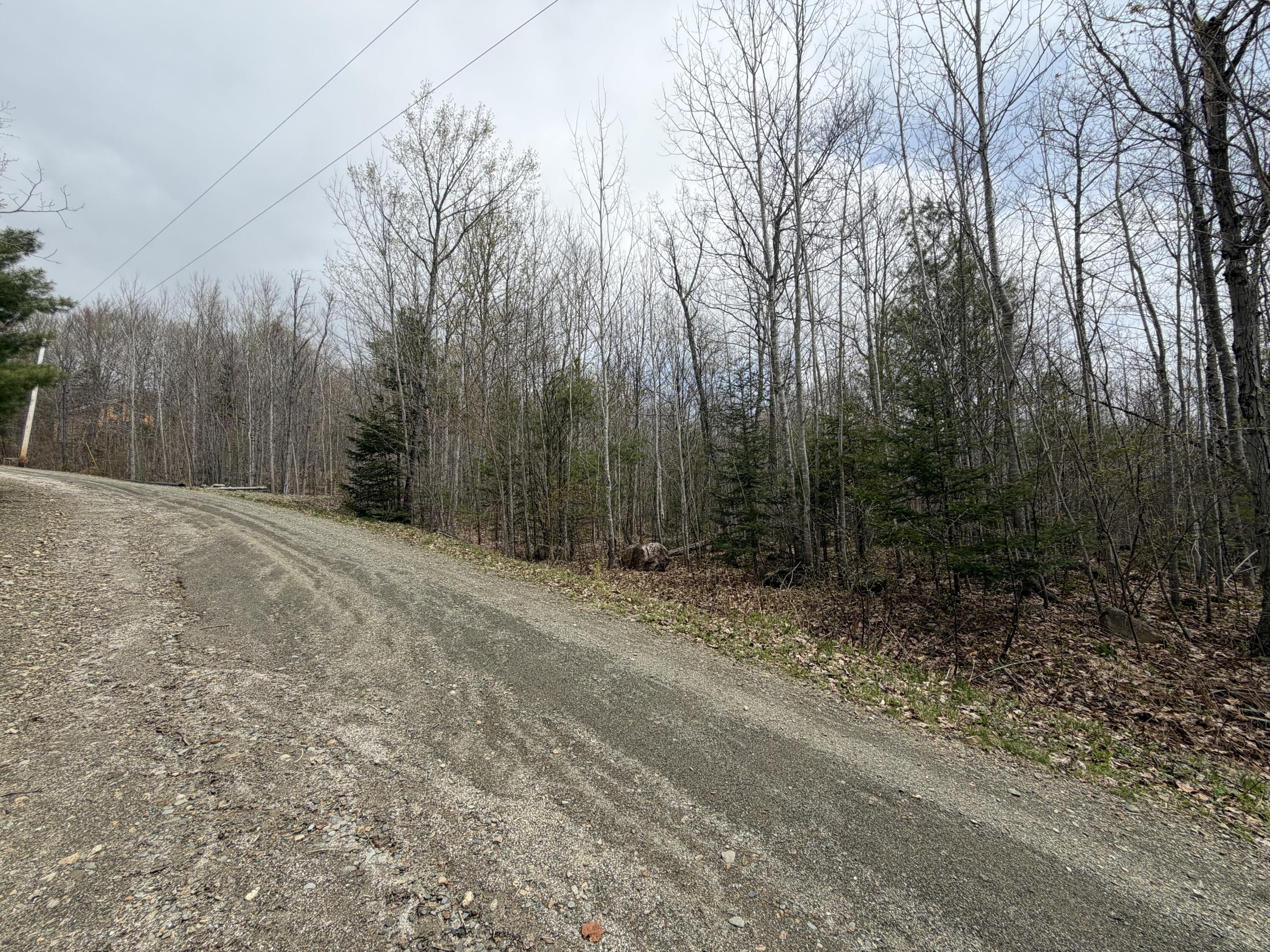 Lot 2 Mooseley Ridge Road Phillips, ME 04966 - Photo 7 of 24
