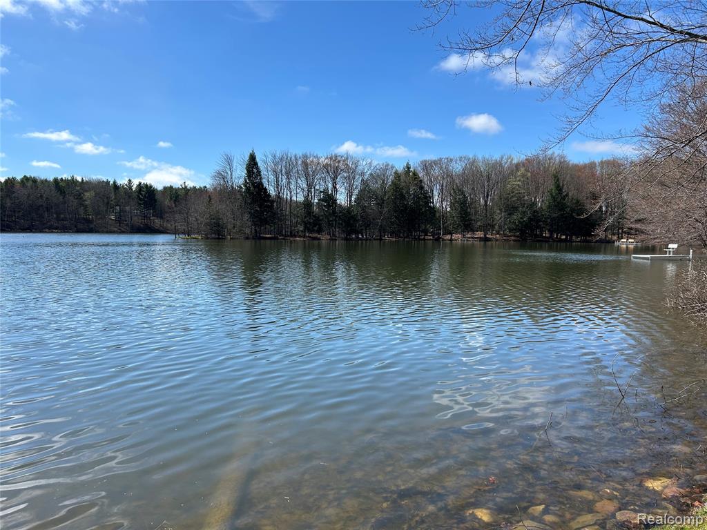 3805 Lee Hill Road Mayville, MI 48744 - Photo 5 of 12