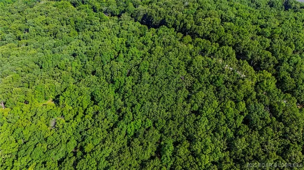 $14,999 | Lot 1169-1143 Elliott Place, Edwards, MO 65326