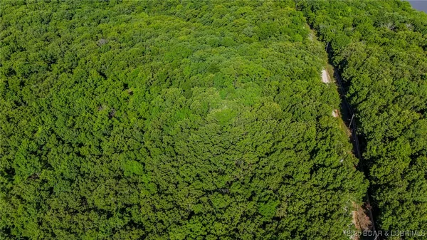 $14,999 | Lot 1169-1143 Elliott Place, Edwards, MO 65326