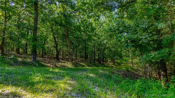 $14,999 | Lot 1169-1143 Elliott Place, Edwards, MO 65326