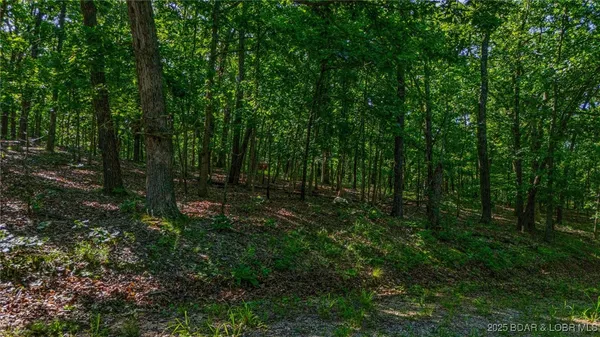 $14,999 | Lot 1169-1143 Elliott Place, Edwards, MO 65326