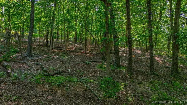 $14,999 | Lot 1169-1143 Elliott Place, Edwards, MO 65326