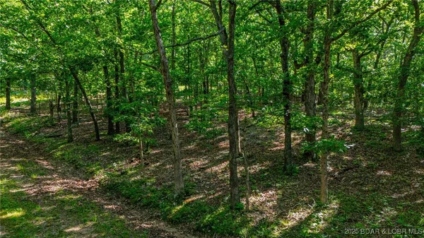 $14,999 | Lot 1169-1143 Elliott Place, Edwards, MO 65326