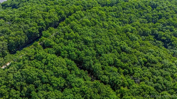 $14,999 | Lot 1169-1143 Elliott Place, Edwards, MO 65326