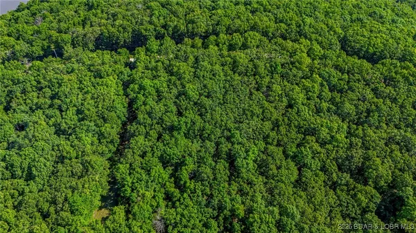 $14,999 | Lot 1169-1143 Elliott Place, Edwards, MO 65326