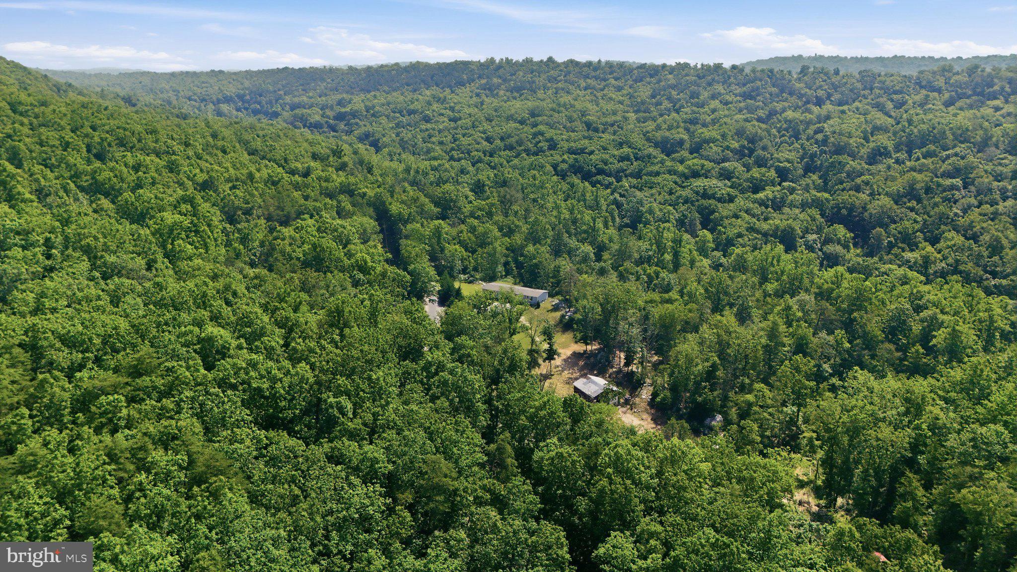 1355 Sandy Hollow Road Bloomery, WV 26817 - Photo 40 of 43