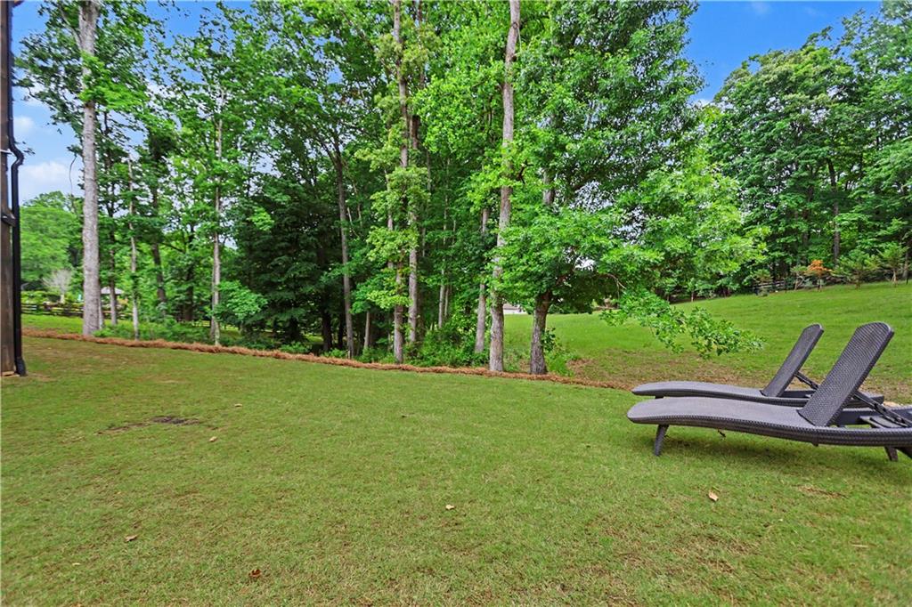 727 Old Collins Road Hoschton, GA 30548 - Photo 42 of 58