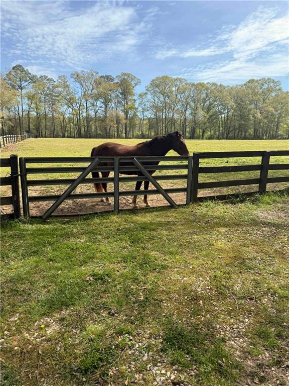 727 Old Collins Road Hoschton, GA 30548 - Photo 45 of 58