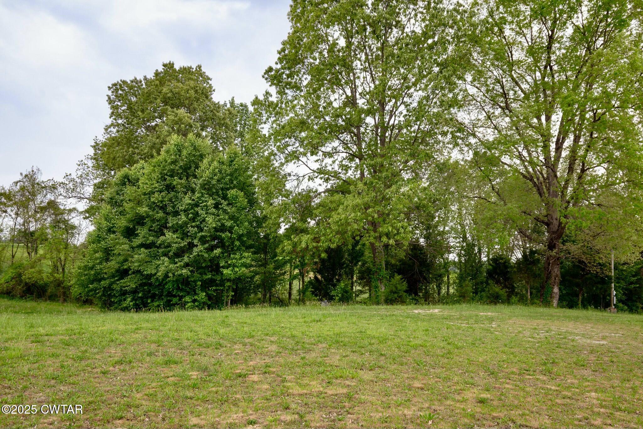 0 Jax Road Atwood, TN 38220 - Photo 5 of 10 tempImagexQKeaG