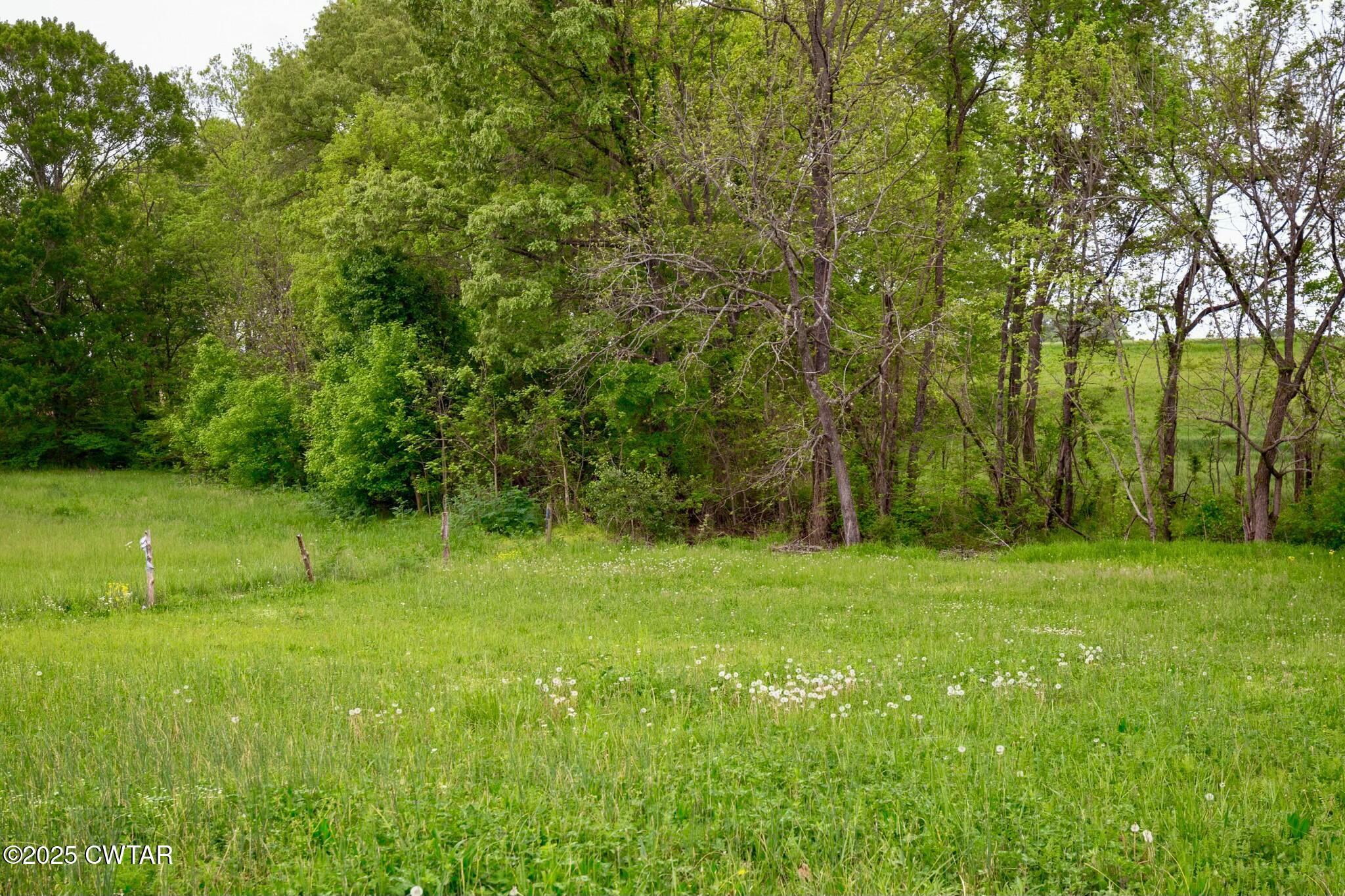 0 Jax Road Atwood, TN 38220 - Photo 6 of 10 tempImage4ViWWc