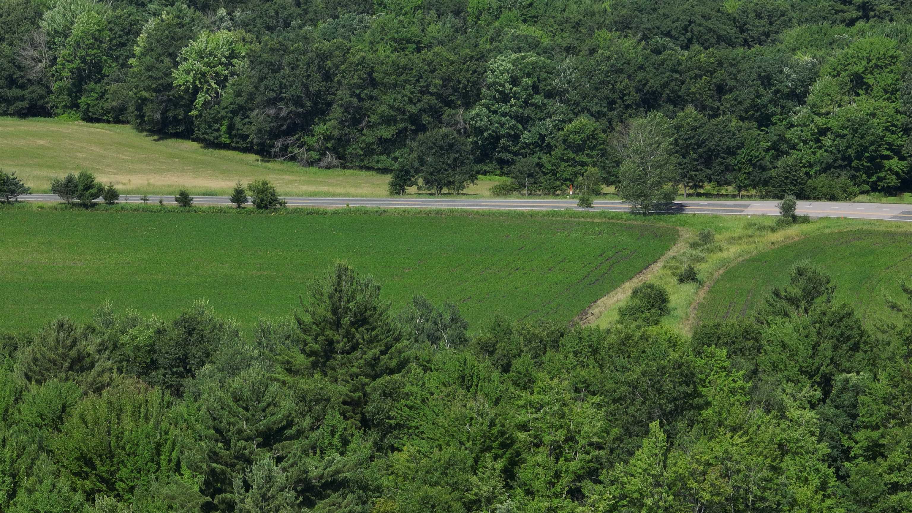 38.85-ac County Road East Pittsville, WI 54466 - Photo 21 of 50