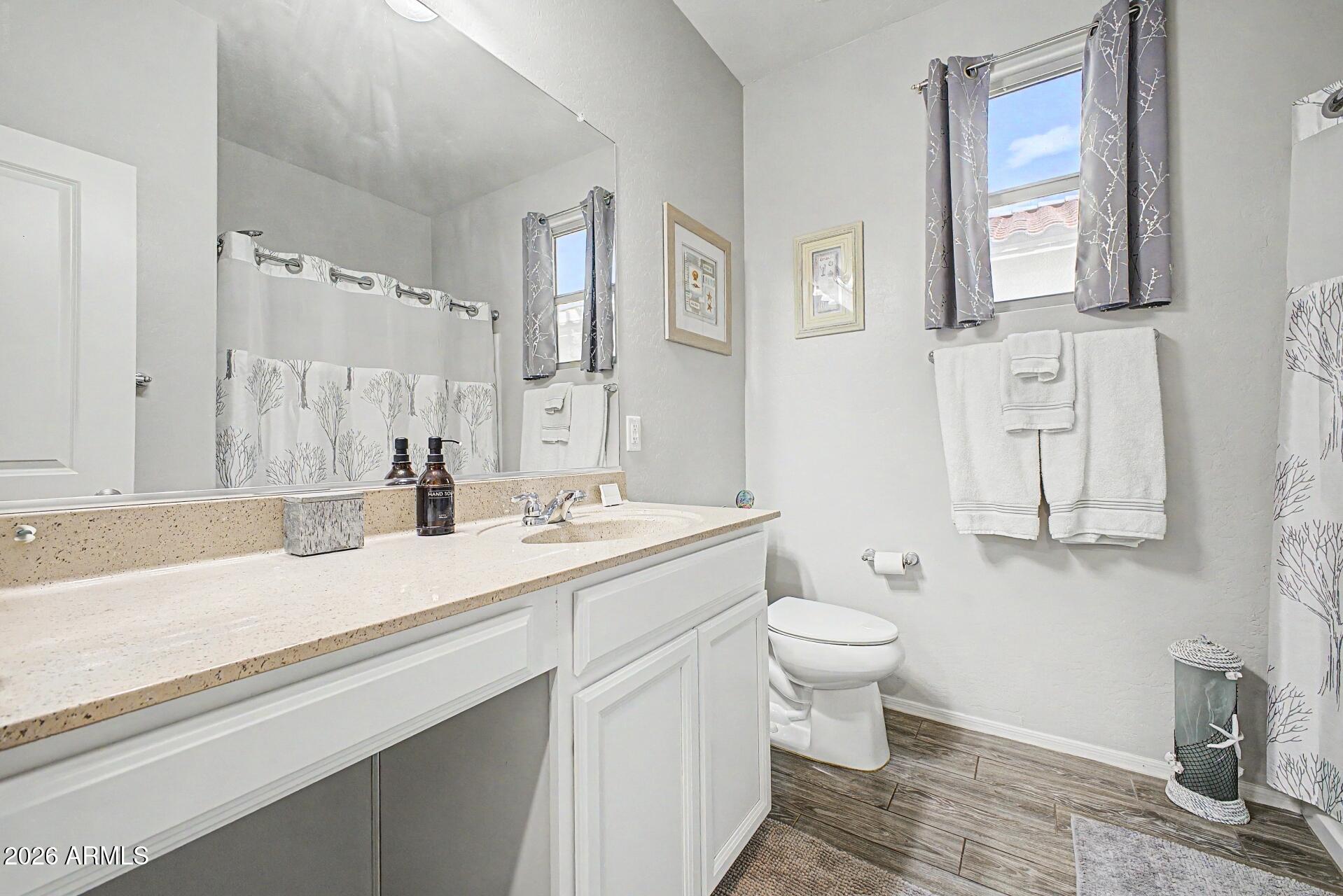 18021 West Indigo Brush Road Goodyear, AZ 85338 - Photo 22 of 47 a bathroom with a sink a toilet and a large mirror