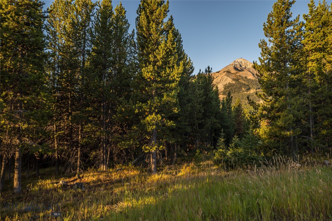 Tbd Swift Bear Road Big Sky, MT 59716 - Photo 18 of 19 Gallery Image 18