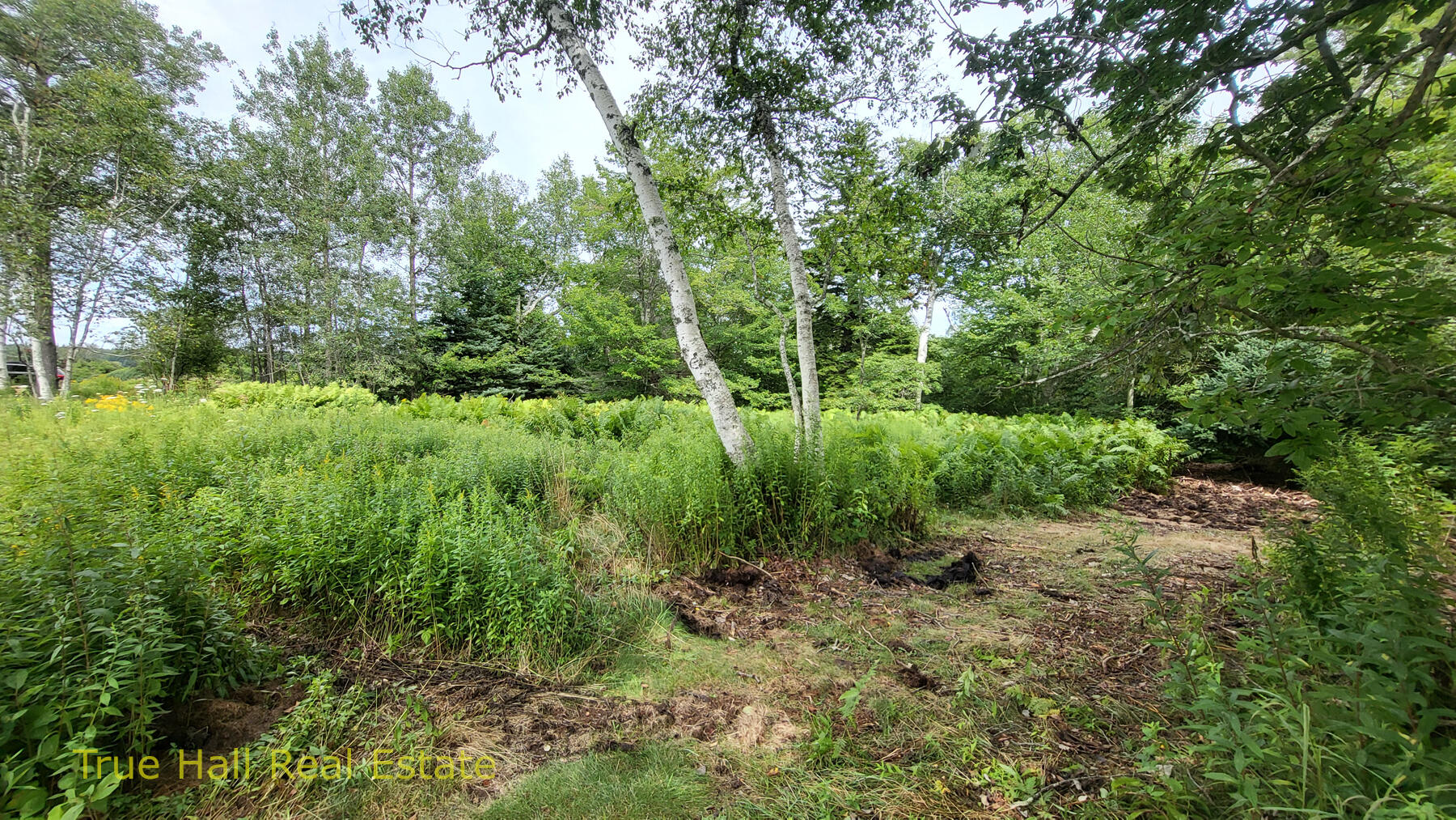 Lot #9 Beach Point Road Tenants Harbor, ME 04860 - Photo 1 of 2 20240806_150111