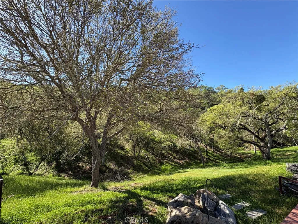 2358 Comanche Way Paso Robles, CA 93446 - Photo 6 of 30 a view of a garden