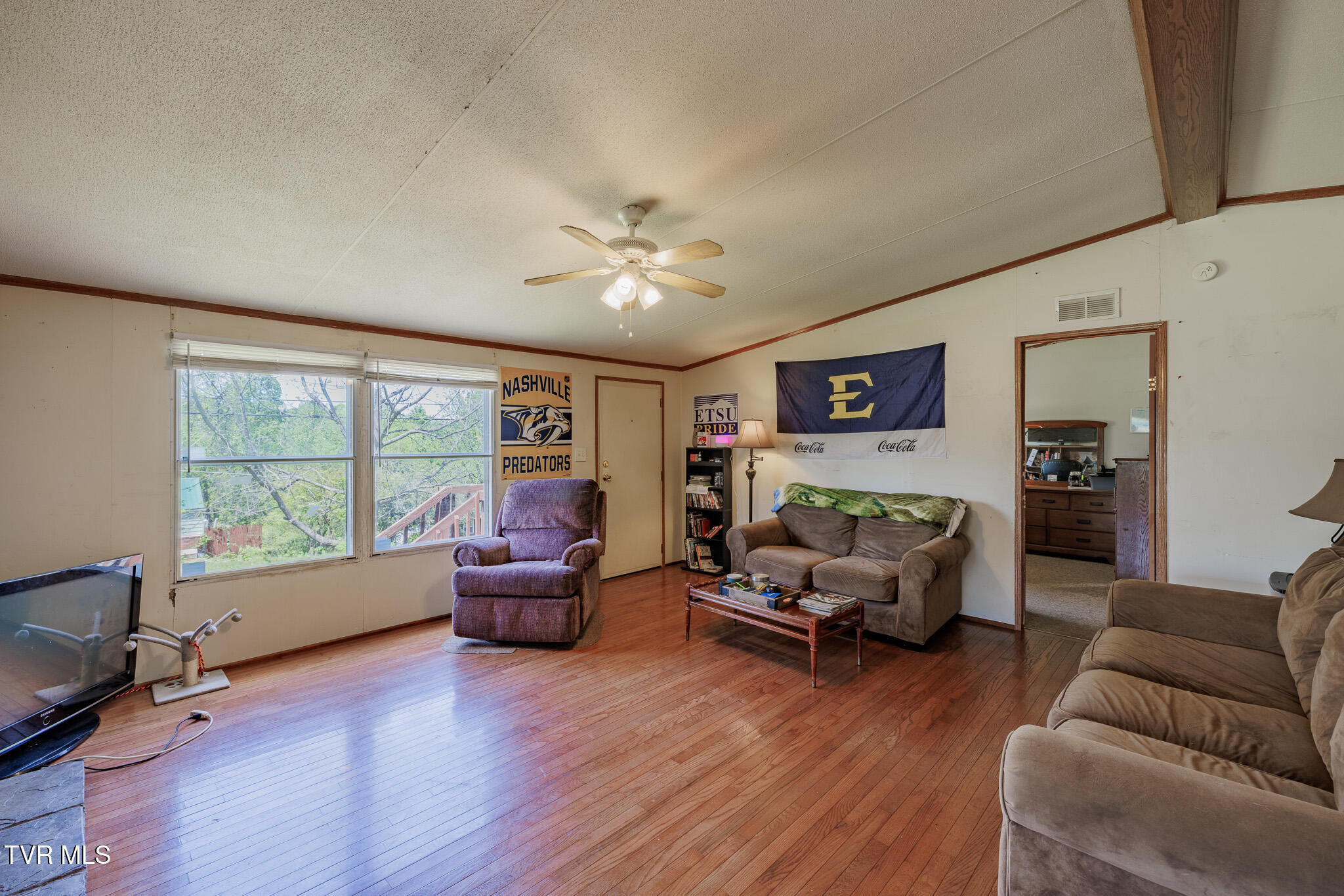 1005 Antioch Road Johnson City, TN 37604 - Photo 3 of 20 1R9A5472-HDR