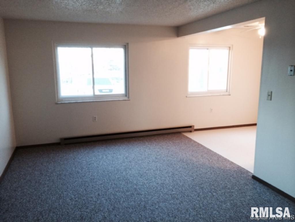 Hall Street Street Virginia, IL 62691 - Photo 12 of 17