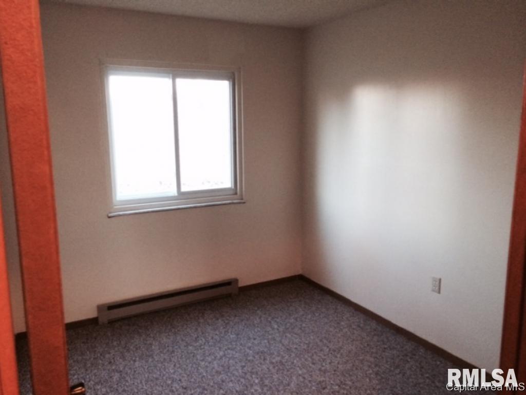 Hall Street Street Virginia, IL 62691 - Photo 14 of 17
