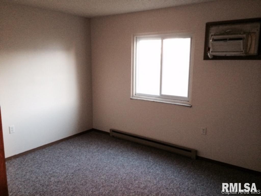 Hall Street Street Virginia, IL 62691 - Photo 15 of 17