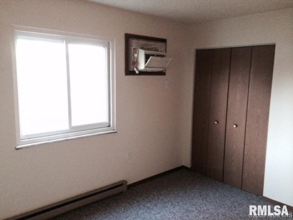 Hall Street Street Virginia, IL 62691 - Photo 16 of 17