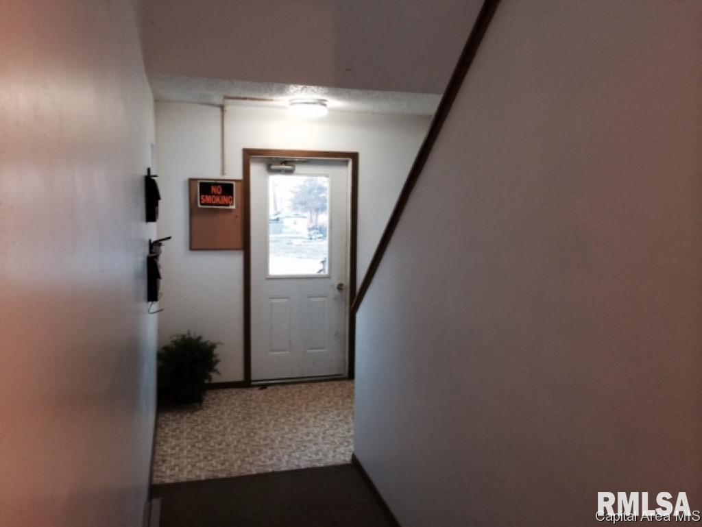 Hall Street Street Virginia, IL 62691 - Photo 6 of 17