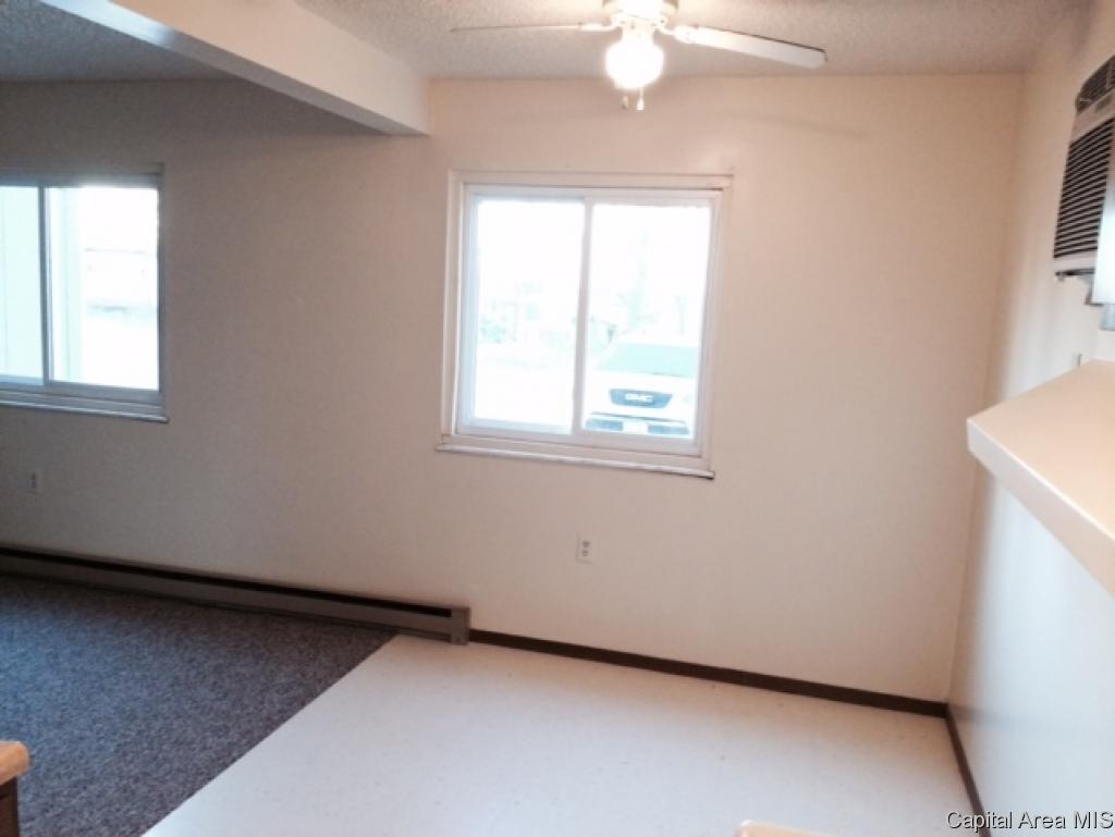 Hall Street Street Virginia, IL 62691 - Photo 10 of 17