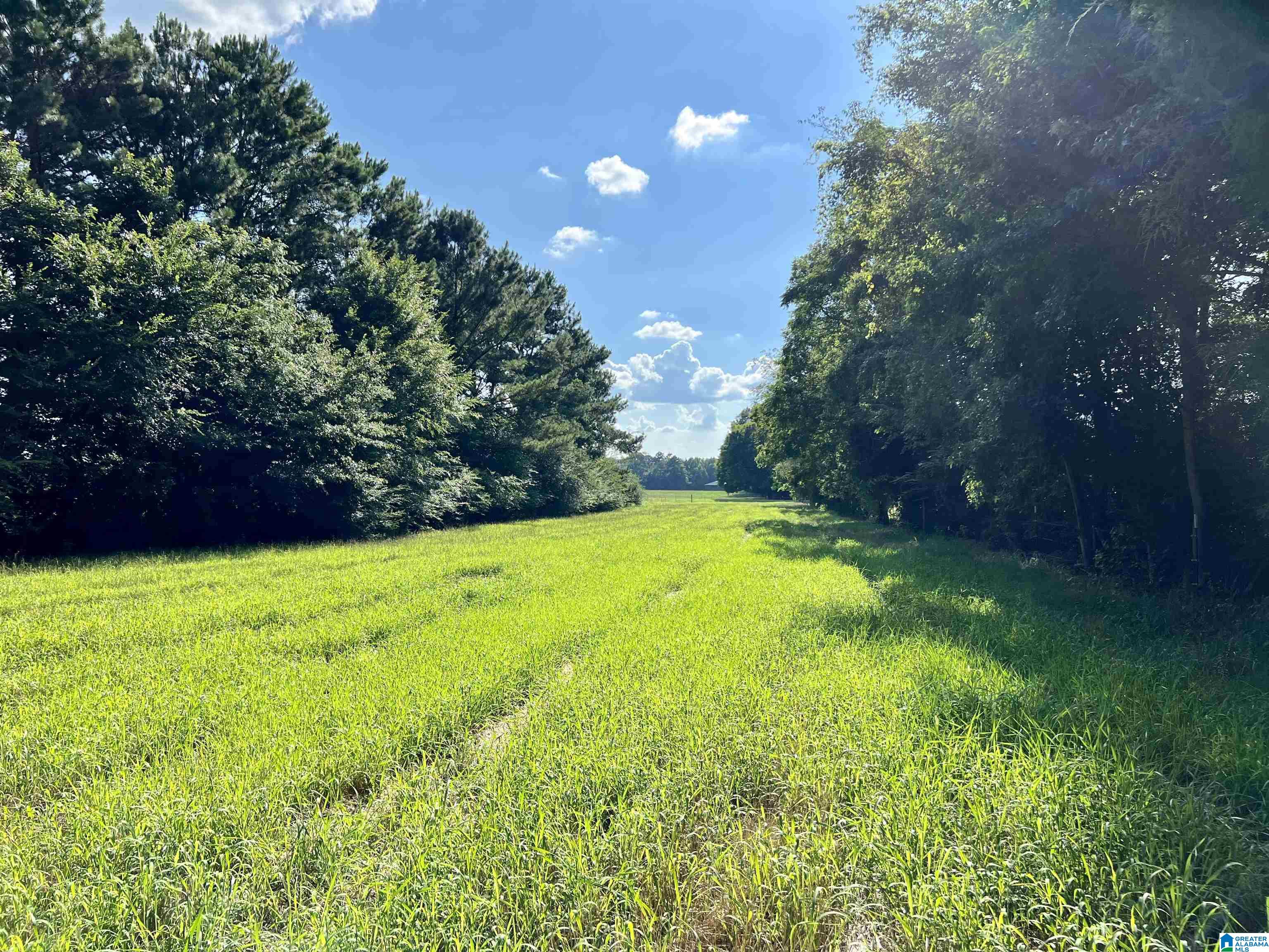 1515 Kelly Ranch Road, Unit 138 ACRES / Talladega, AL 35160 - Photo 20 of 42