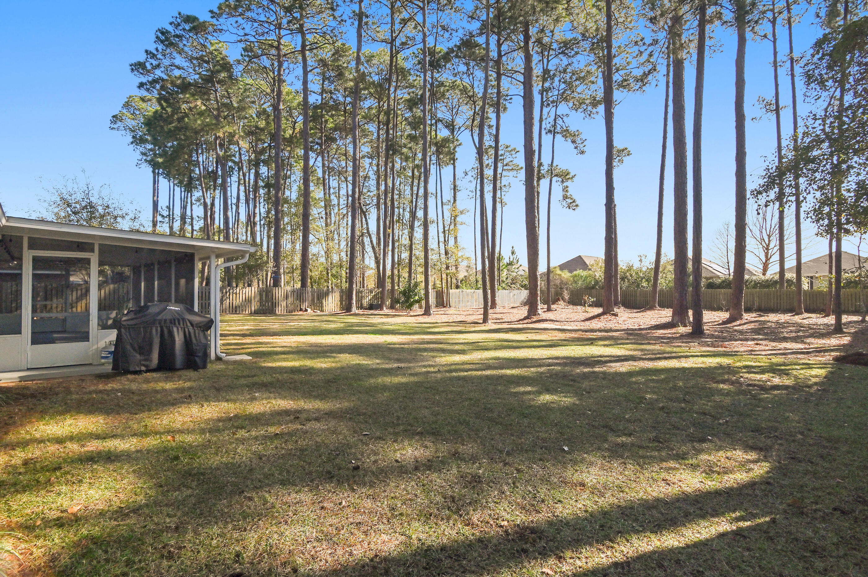 354 Driftwood Point Road Santa Rosa Beach, FL 32459 - Photo 14 of 43 Back Yard