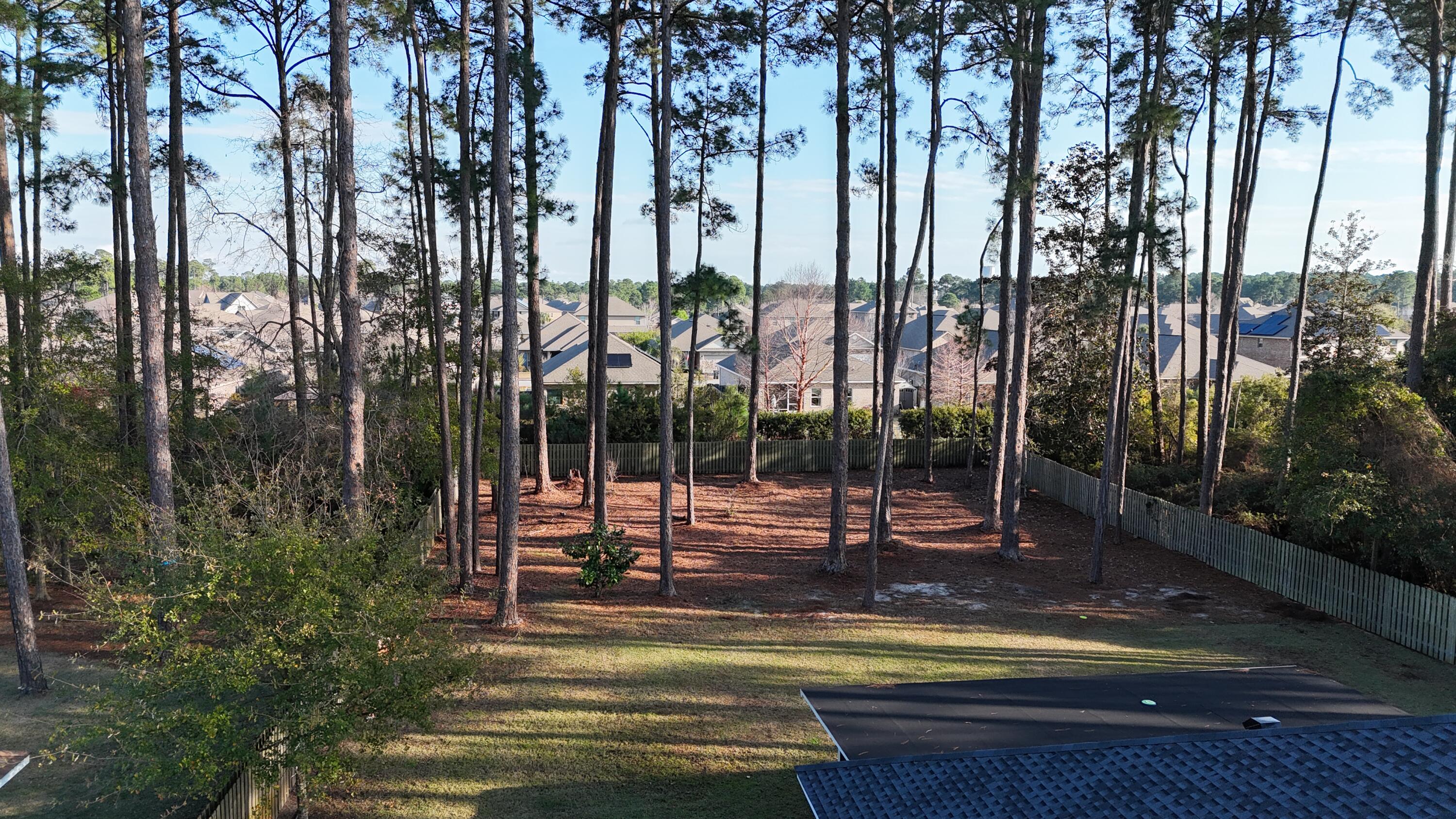 354 Driftwood Point Road Santa Rosa Beach, FL 32459 - Photo 16 of 43 Backyard