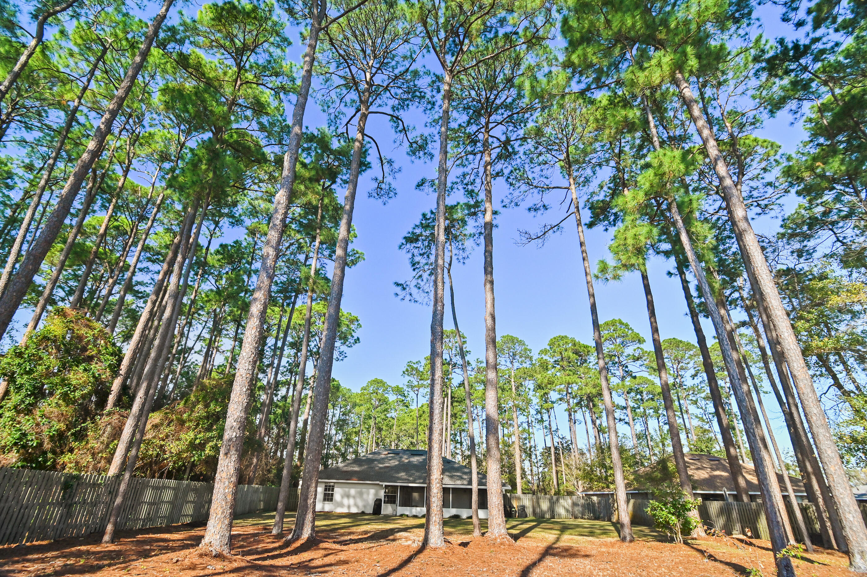 354 Driftwood Point Road Santa Rosa Beach, FL 32459 - Photo 17 of 43 Back Yard