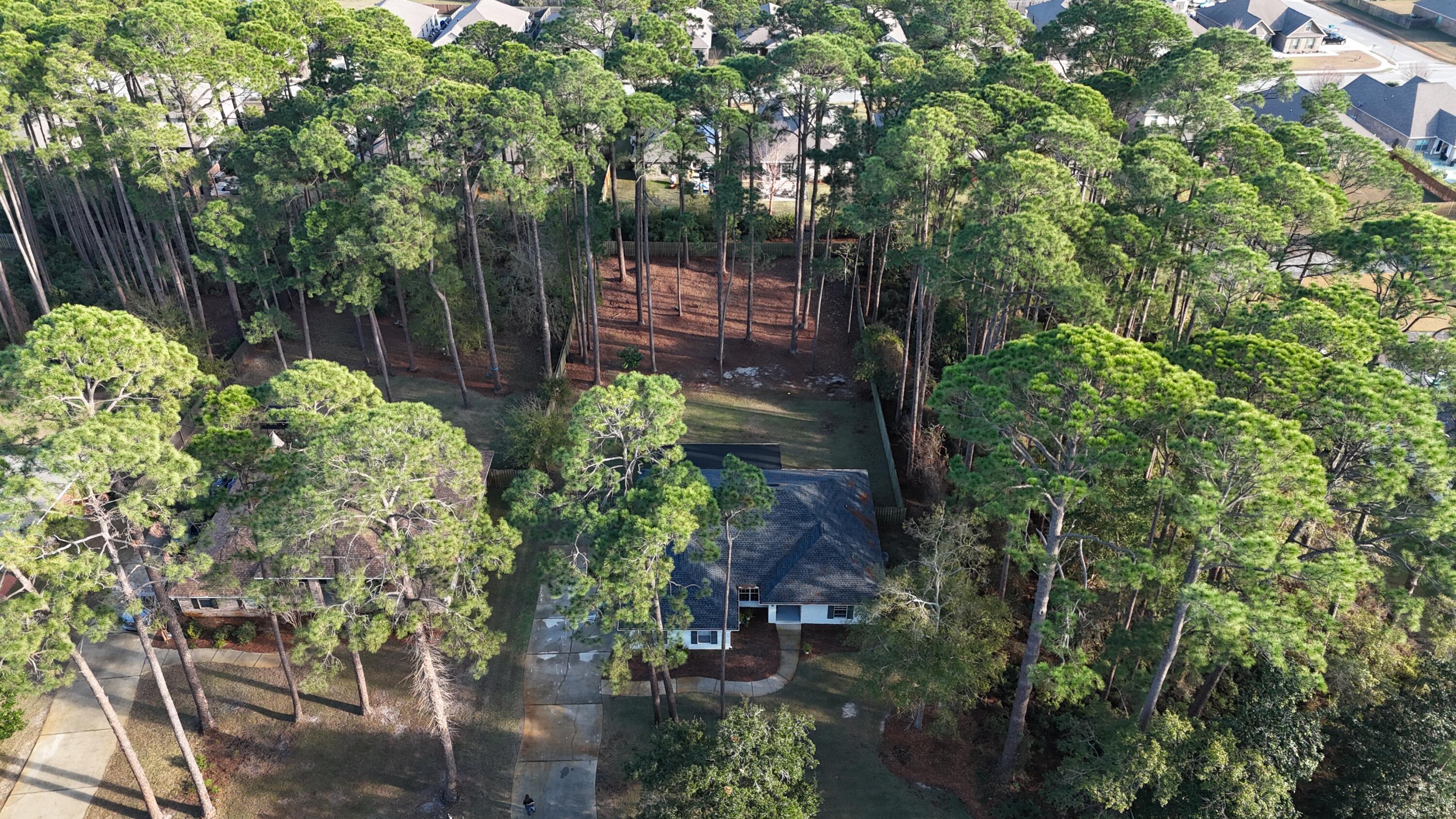 354 Driftwood Point Road Santa Rosa Beach, FL 32459 - Photo 39 of 43 Drone
