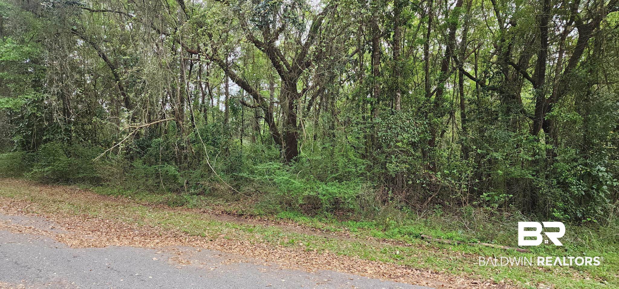 0 Mill House Drive North Mobile, AL 36619 - Photo 1 of 3 View of nature with a view of trees