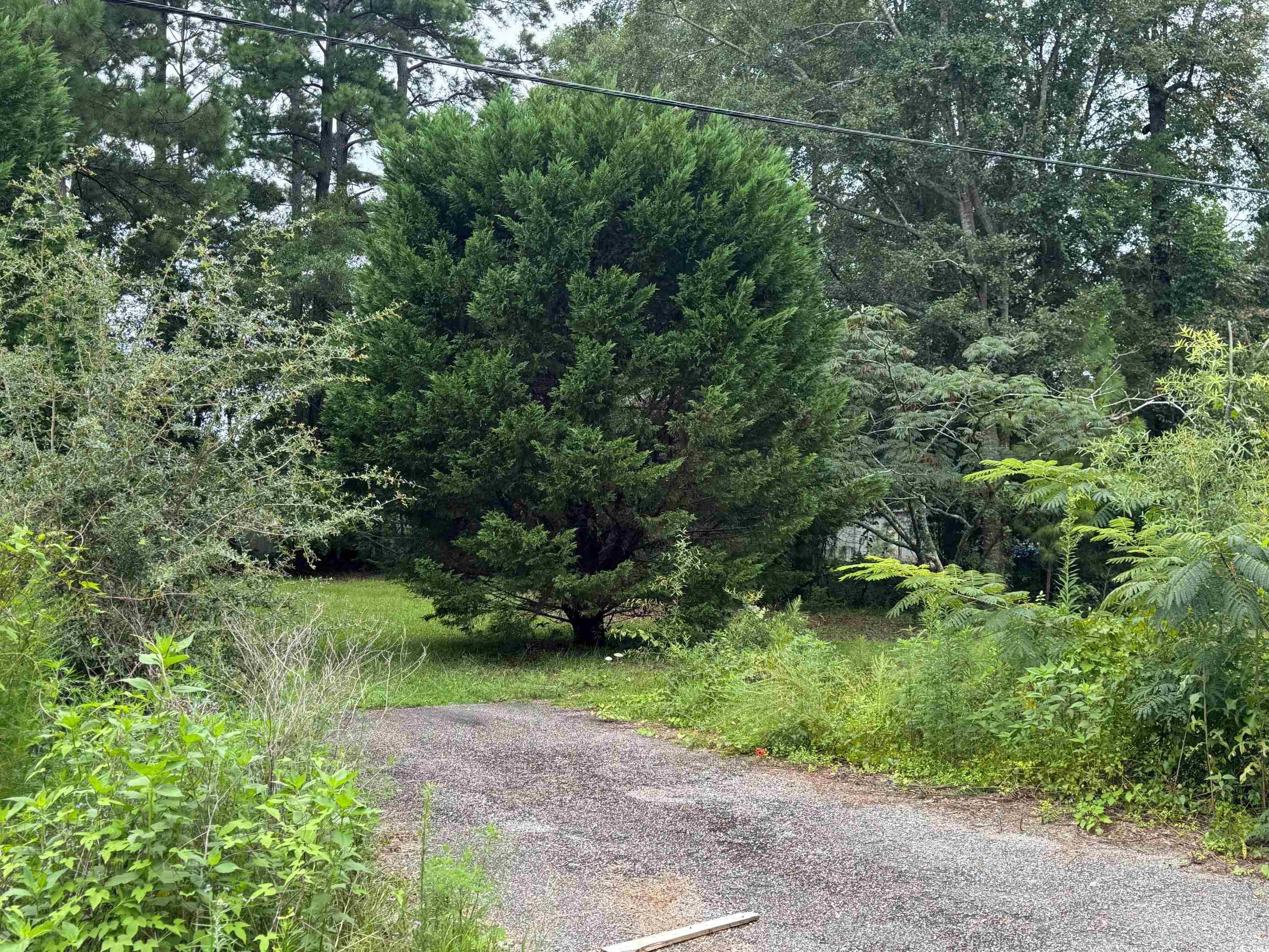 5701 Enterprise Road Myrtle Beach, SC 29588 - Photo 1 of 2 View of road