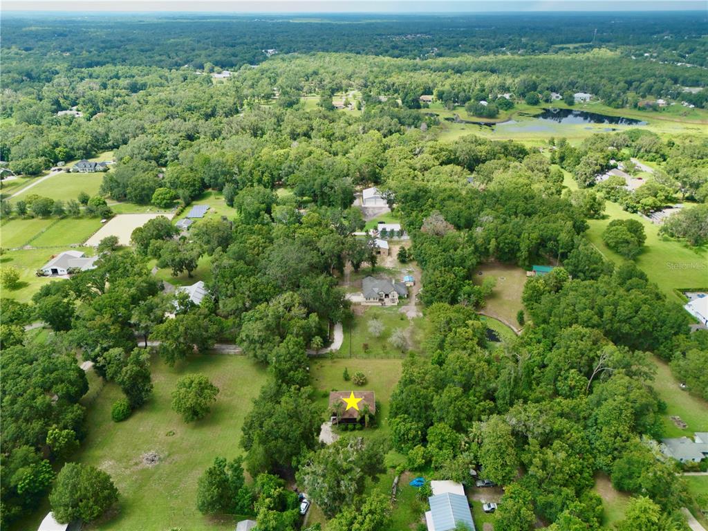 425 Mercers Fernery Road DeLand, FL 32720 - Photo 45 of 54 a view of a forest with a street