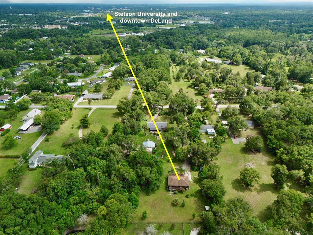 425 Mercers Fernery Road DeLand, FL 32720 - Photo 51 of 54 a view of a forest with a tree