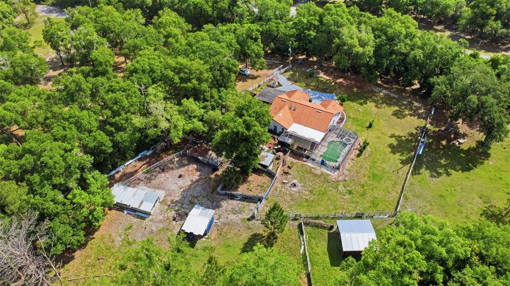 1898 Blackwelder Road De Leon Springs, FL 32130 - Photo 23 of 33 an aerial view of residential house with outdoor space and trees all around