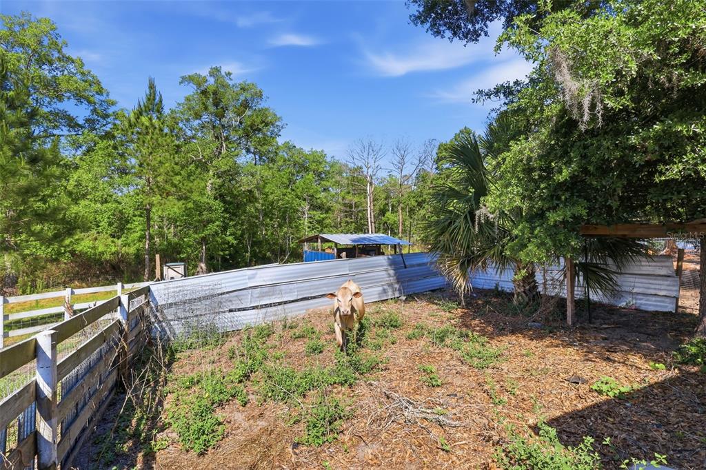 1898 Blackwelder Road De Leon Springs, FL 32130 - Photo 29 of 33 a view of a backyard with sitting area