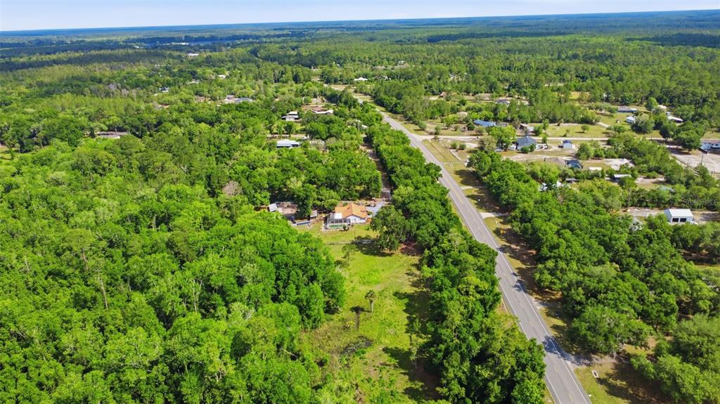 1898 Blackwelder Road De Leon Springs, FL 32130 - Photo 33 of 33 a view of a green field with lots of bushes