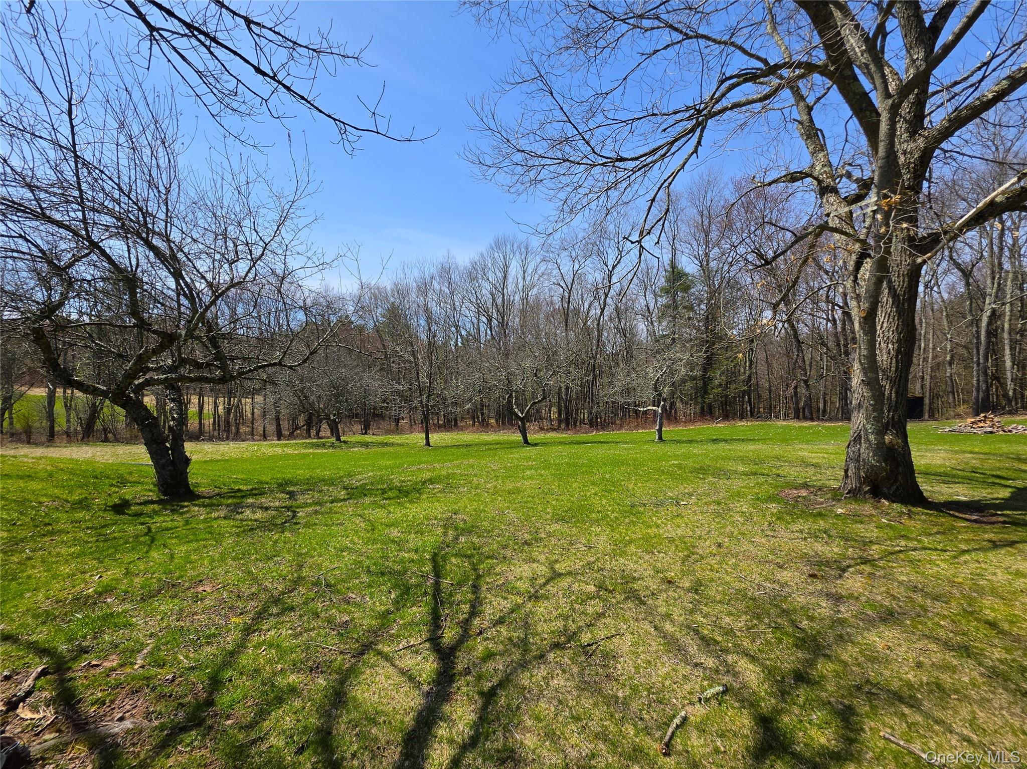 62 Pucky Huddle Road Bethel, NY 12720 - Photo 16 of 35