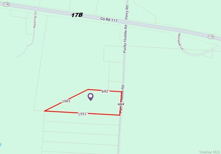 62 Pucky Huddle Road Bethel, NY 12720 - Photo 34 of 35