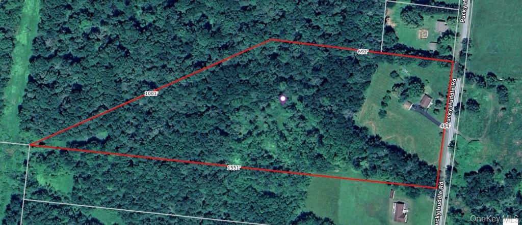 62 Pucky Huddle Road Bethel, NY 12720 - Photo 35 of 35