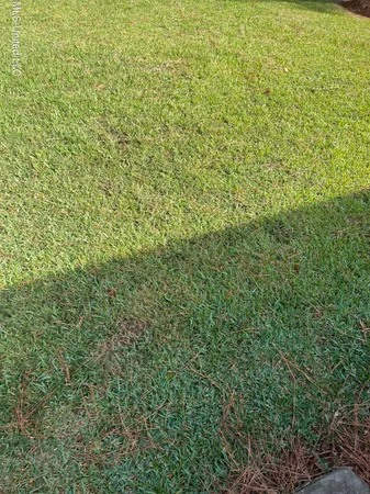 $1,000,000 | Weisenberger Road, Madison, MS 39110