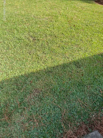 $1,000,000 | Weisenberger Road, Madison, MS 39110