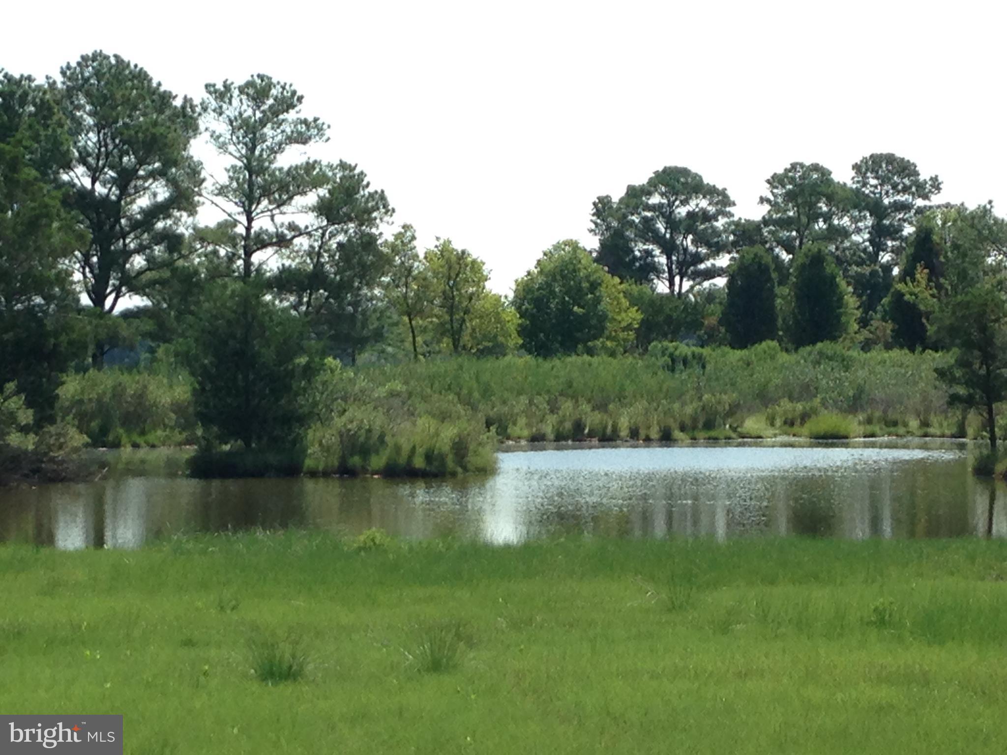1230 Hudson Road Cambridge, MD 21613 - Photo 25 of 30 Pond
