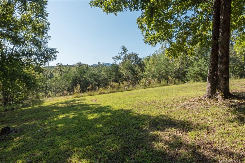 1667 Pkwy N Road, Unit 29 Mill Spring, NC 28756 - Photo 41 of 41