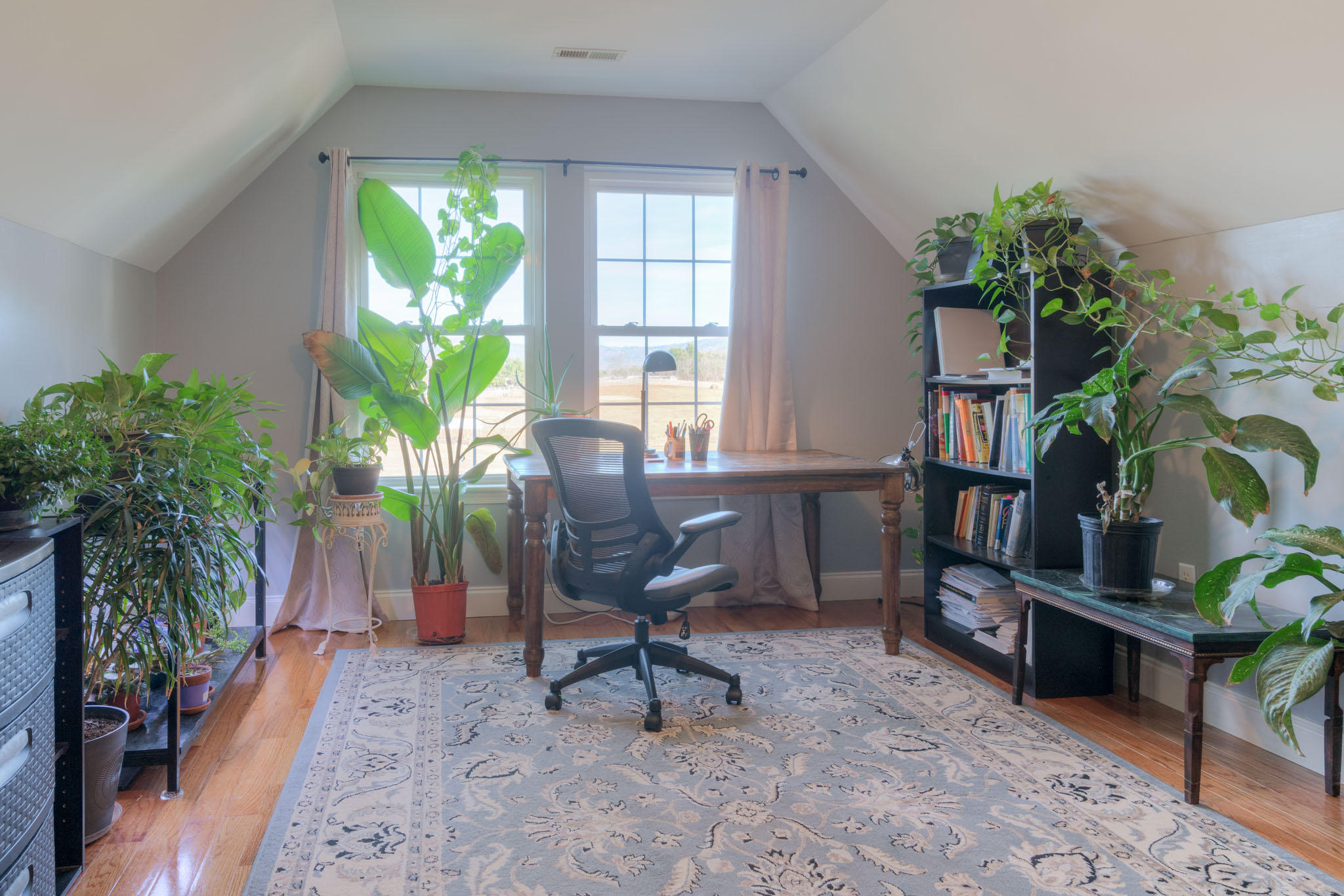 1675 Union Valley Road Riner, VA 24149 - Photo 35 of 50 a living room filled with furniture and a potted plant