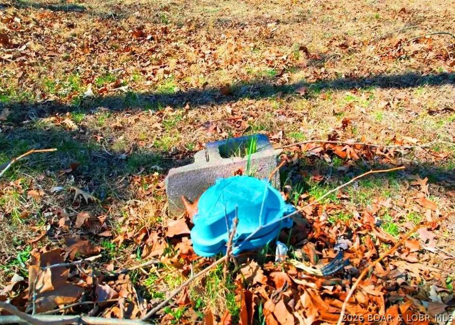 1646 Purvis Road Sunrise Beach, MO 65079 - Photo 7 of 9