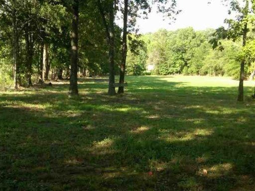 2811 Jr Williams Road Dandridge, TN 37725 - Photo 1 of 9 Primary Photo
